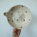 Berry bowl blueberry 2