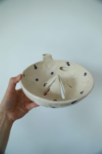 Berry bowl blueberry