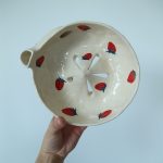Berry bowl strawberry 2