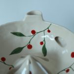 Berry bowl red berries 4